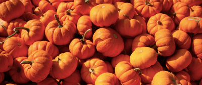 Pumpkins