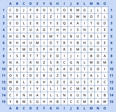 Word search grid