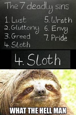 Sloth