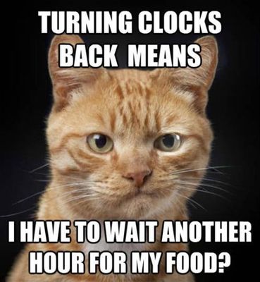 daylight-savings-meme-27.jpg